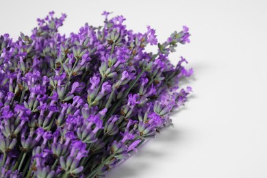Photo of Beautiful aromatic lavender flowers on white background, closeup. Space for text