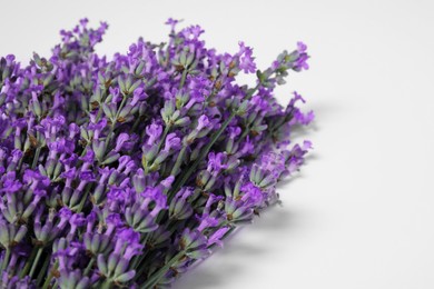 Beautiful aromatic lavender flowers on white background, closeup. Space for text