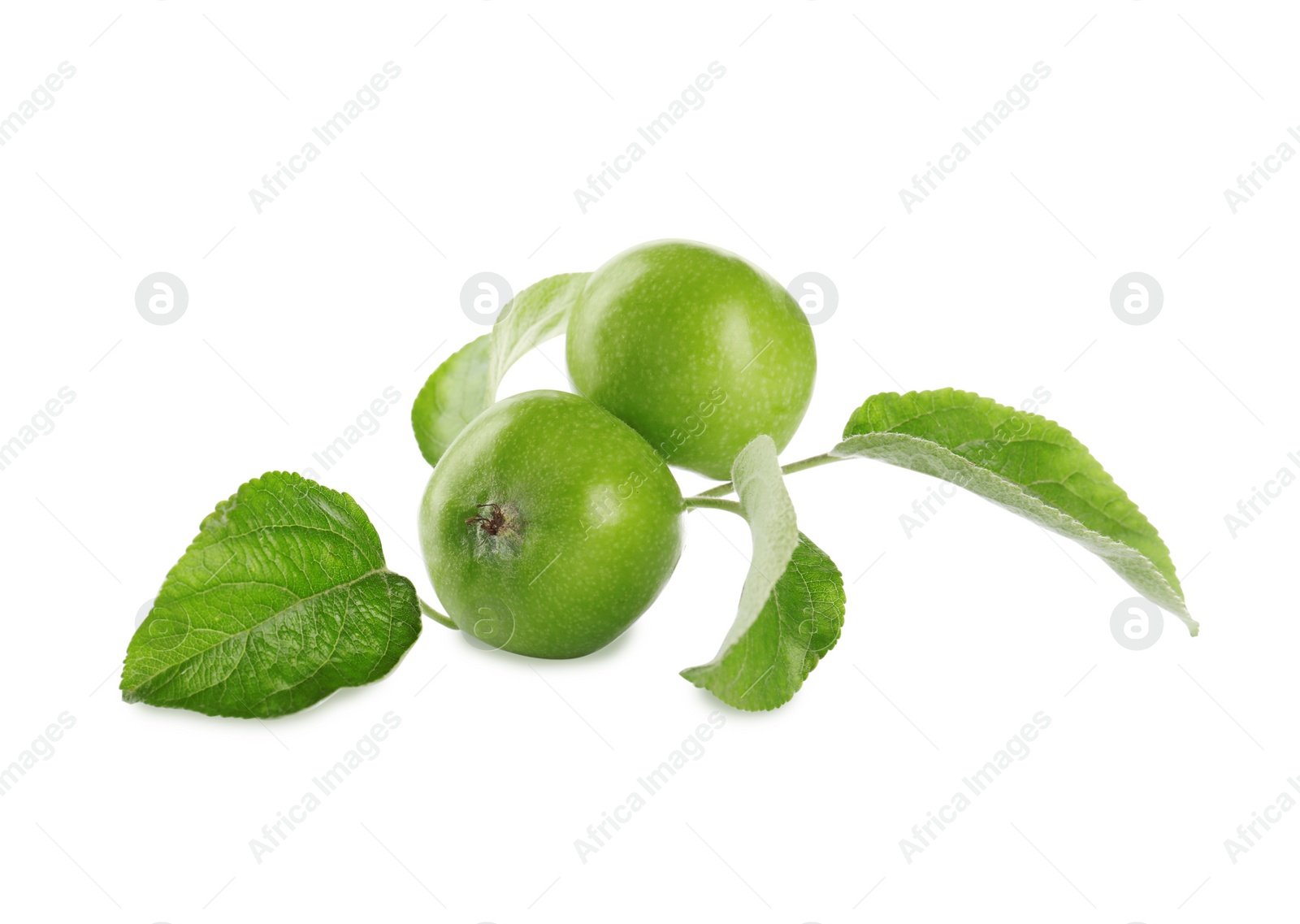 Photo of Fresh juicy apples with leaves isolated on white