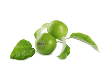 Photo of Fresh juicy apples with leaves isolated on white