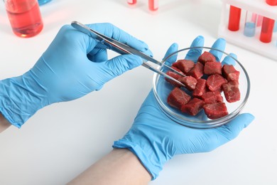 Scientist taking raw cultured meat out of Petri dish with tweezers in laboratory, closeup