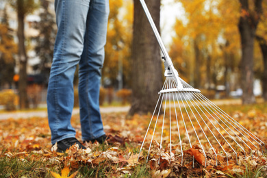 Photo of Person raking dry leaves outdoors on autumn day, closeup