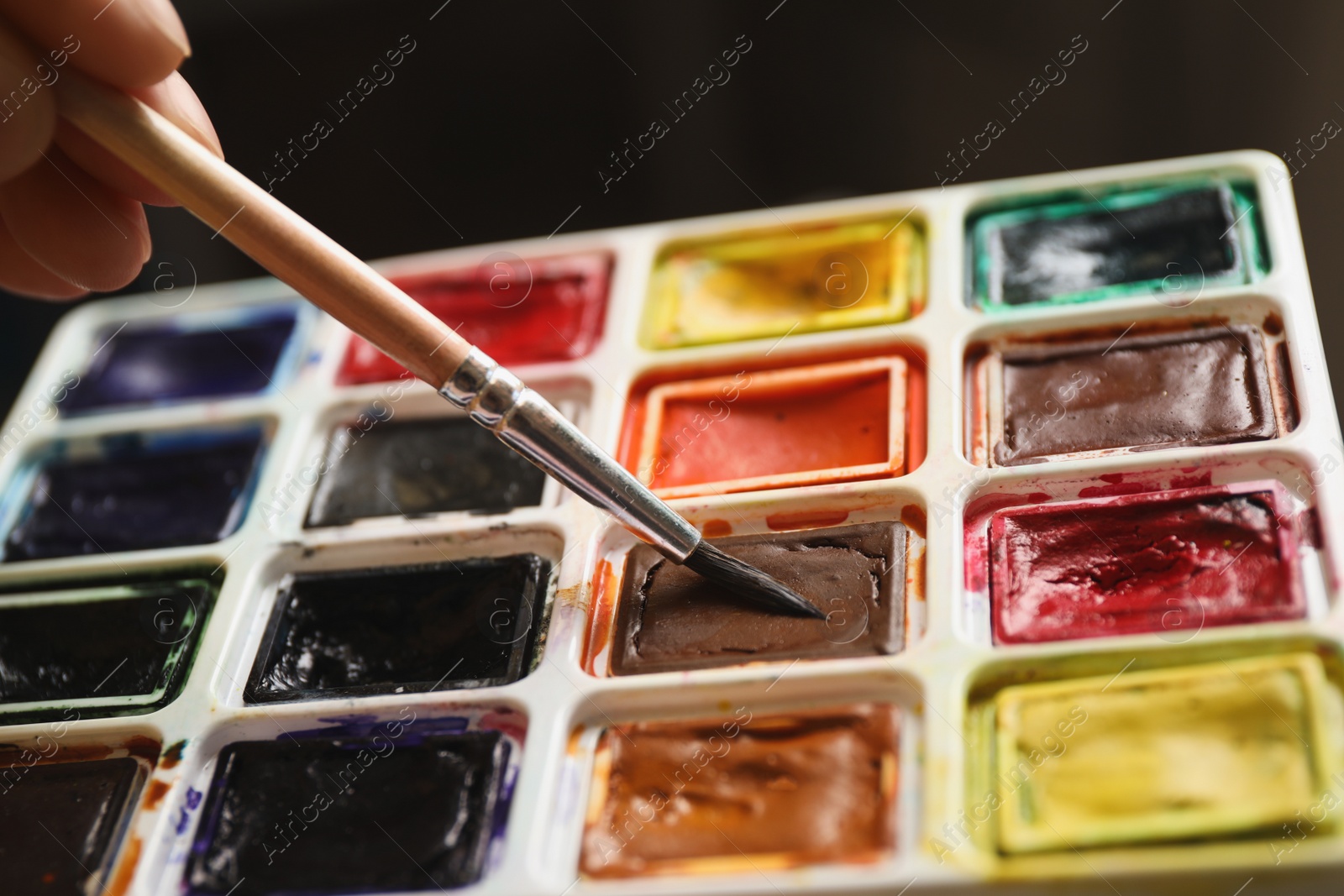 Photo of Woman holding brush and watercolor palette, closeup