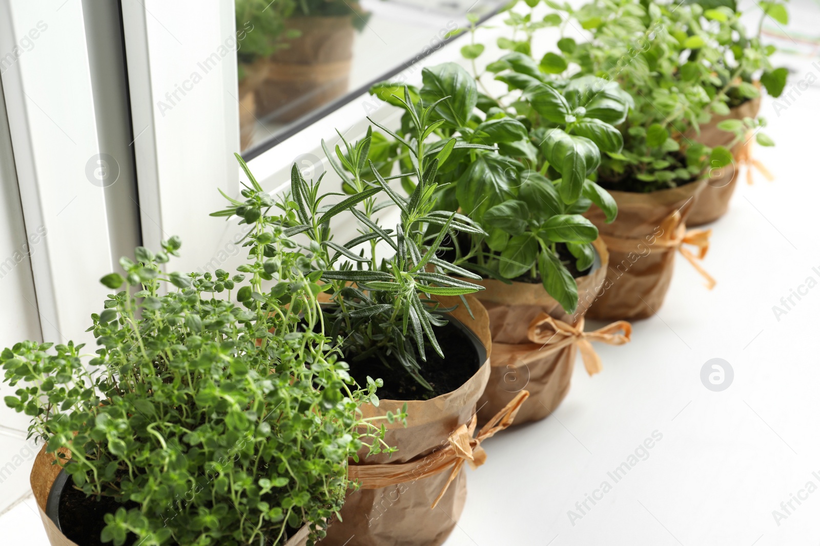 Photo of Different aromatic potted herbs on windowsill indoors, closeup