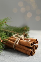 Bunch of cinnamon sticks and fir branches on grey textured table, closeup. Space for text
