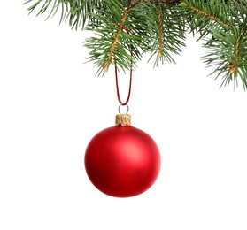 Photo of Red Christmas ball hanging on fir tree branch against white background