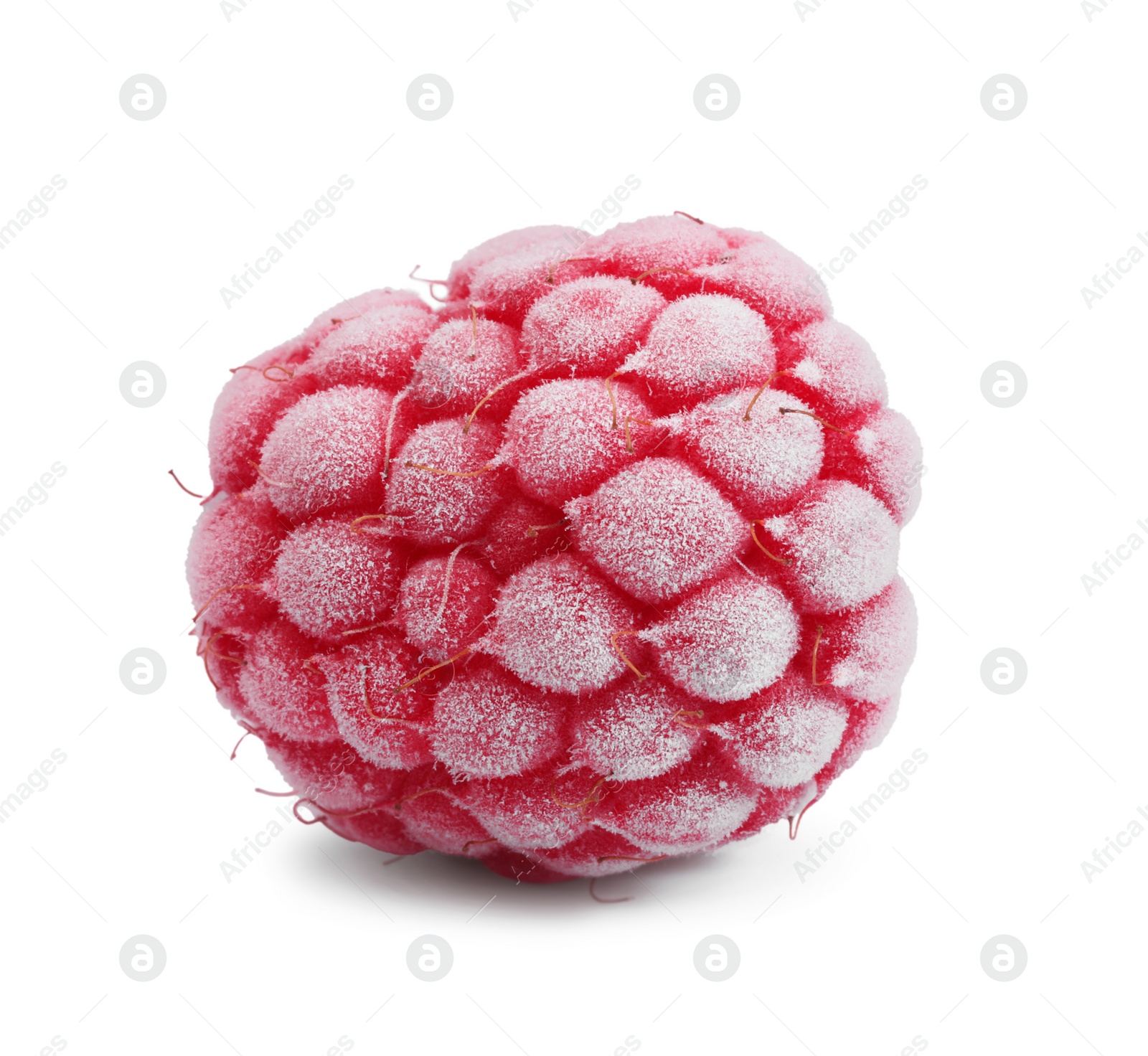 Photo of One tasty frozen raspberry isolated on white