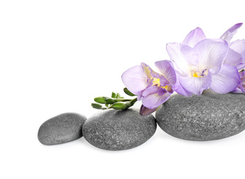 Spa stones and freesia flowers on white background