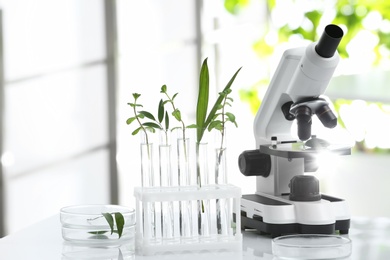 Photo of Laboratory glassware with different plants and microscope on table against blurred background. Chemistry research