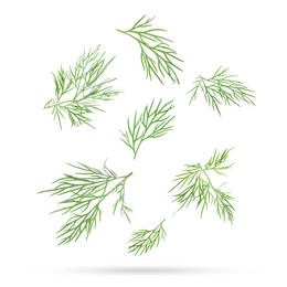 Fresh green dill falling on white background