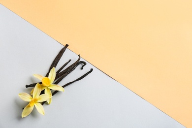 Flat lay composition with vanilla sticks and flowers on color background. Space for text