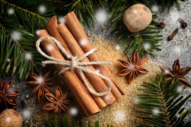 Different spices and fir tree branches on grey background, flat lay. Cinnamon, anise, nutmegs, cloves, brown sugar