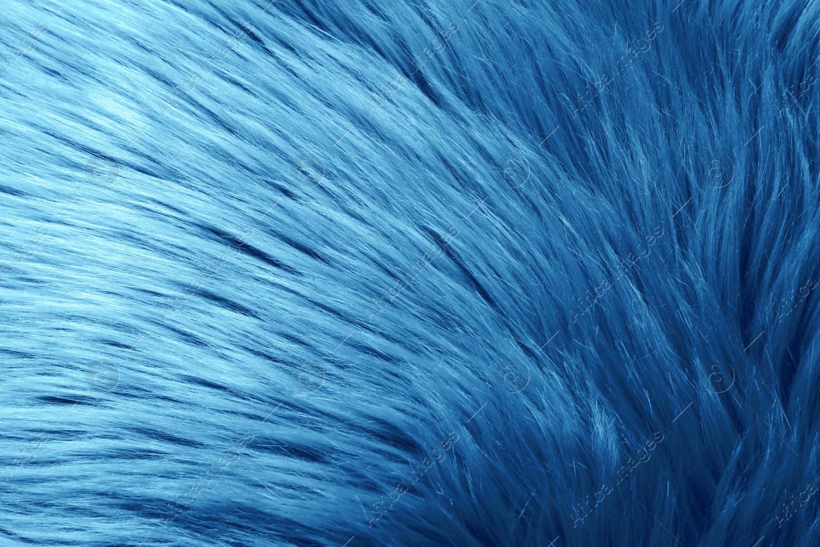 Photo of Faux fur as background. Color of the year 2020 (Classic blue)