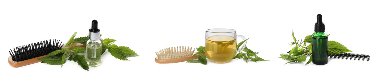 Image of Set with stinging nettle extracts, infusion, comb, brushes and green leaves on white background. Natural hair care