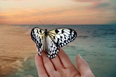 Image of Woman holding beautiful rice paper butterfly on sandy beach, closeup