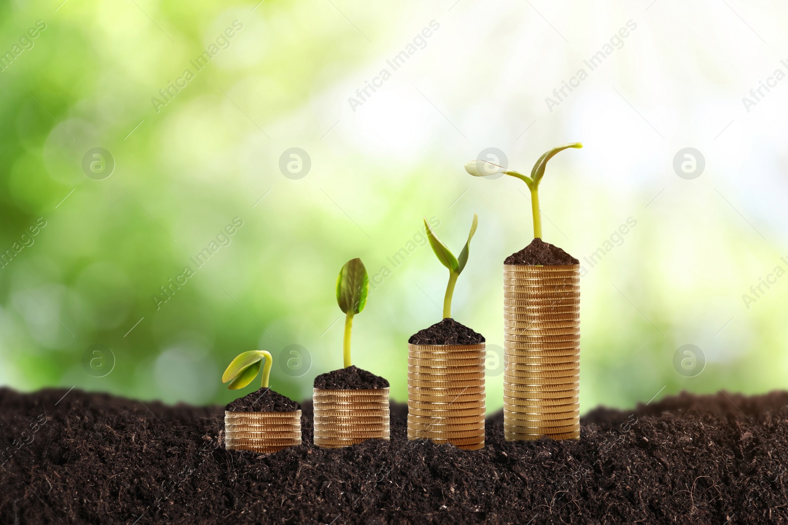 Image of Stacked coins and green seedlings on ground outdoors, bokeh effect. Investment concept