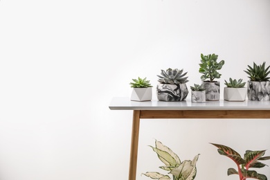 Beautiful potted succulents on table, space for text. Interior decoration