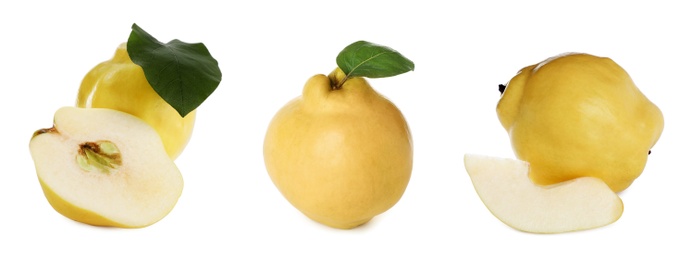 Image of Set of delicious ripe quinces on white background. Banner design