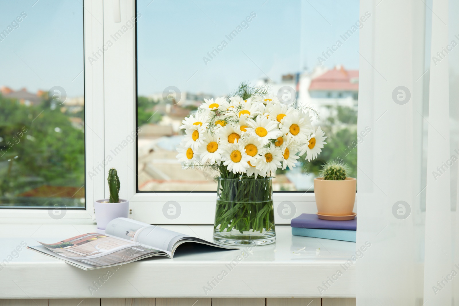 Photo of Vase with beautiful chamomile flowers on windowsill