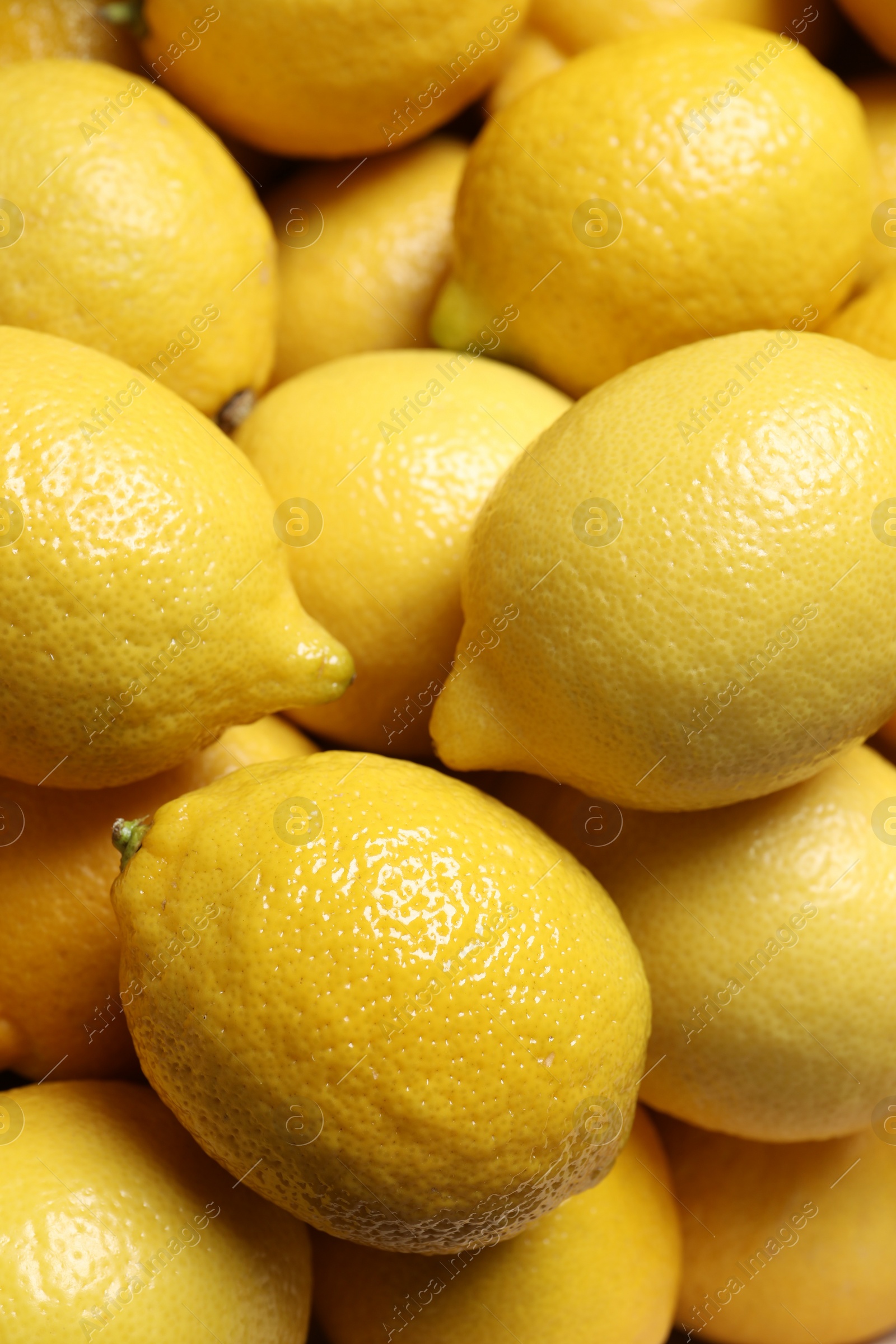 Photo of Fresh lemons as background, closeup. Citrus fruit