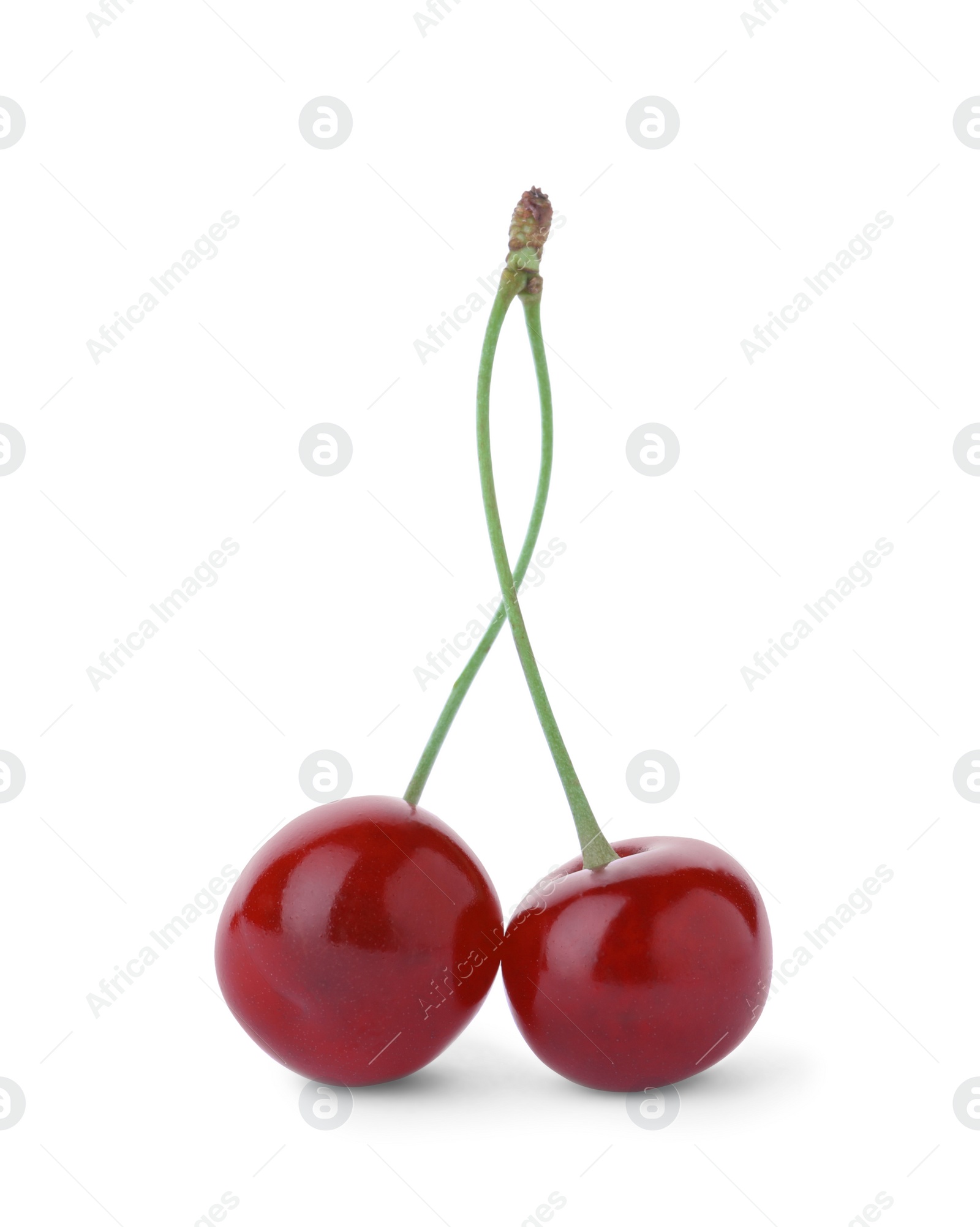 Photo of Sweet red juicy cherries isolated on white