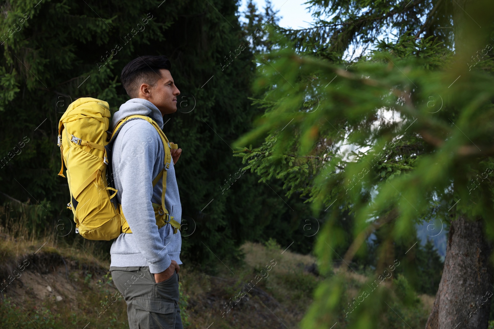 Photo of Tourist with backpack in forest, space for text