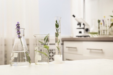 Laboratory glassware with different plants on table indoors