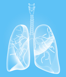 Illustration of  human lungs on light blue background