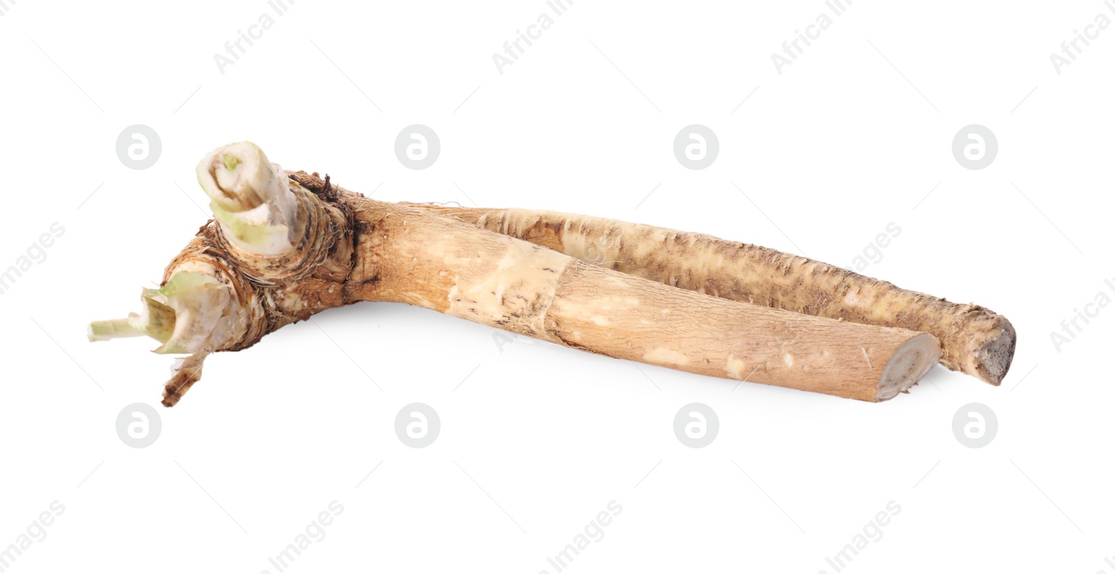 Photo of Fresh cut horseradish root isolated on white