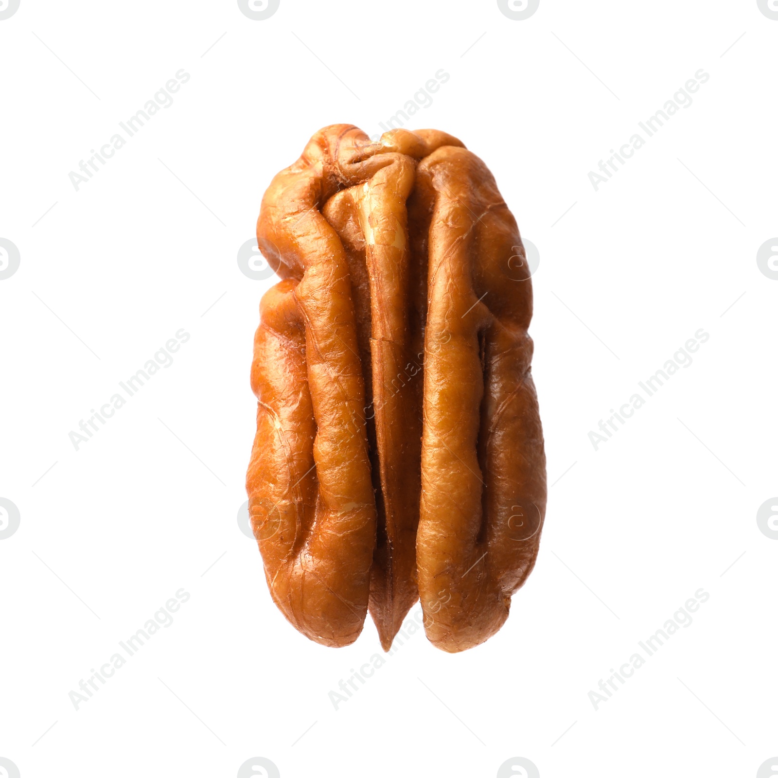 Photo of One tasty pecan nut isolated on white