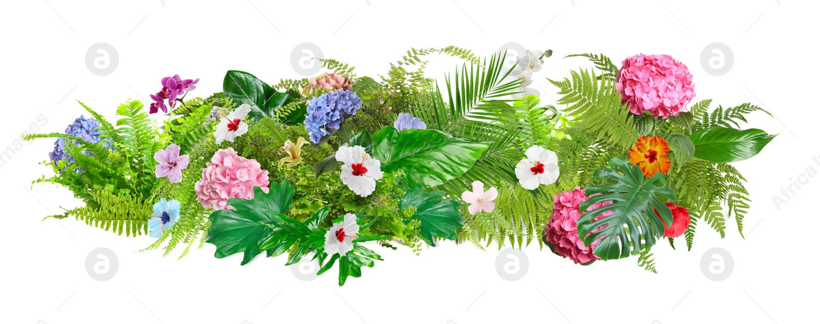 Image of Beautiful composition with tropical leaves and flowers on white background. Banner design