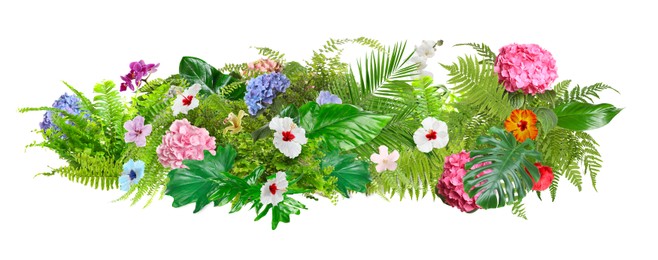 Image of Beautiful composition with tropical leaves and flowers on white background. Banner design