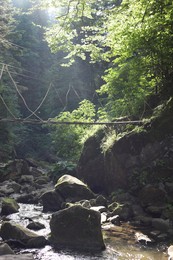 Photo of Sunlit wooden suspension bridge over mountain river