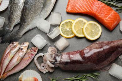 Fresh fish and seafood on grey table, flat lay