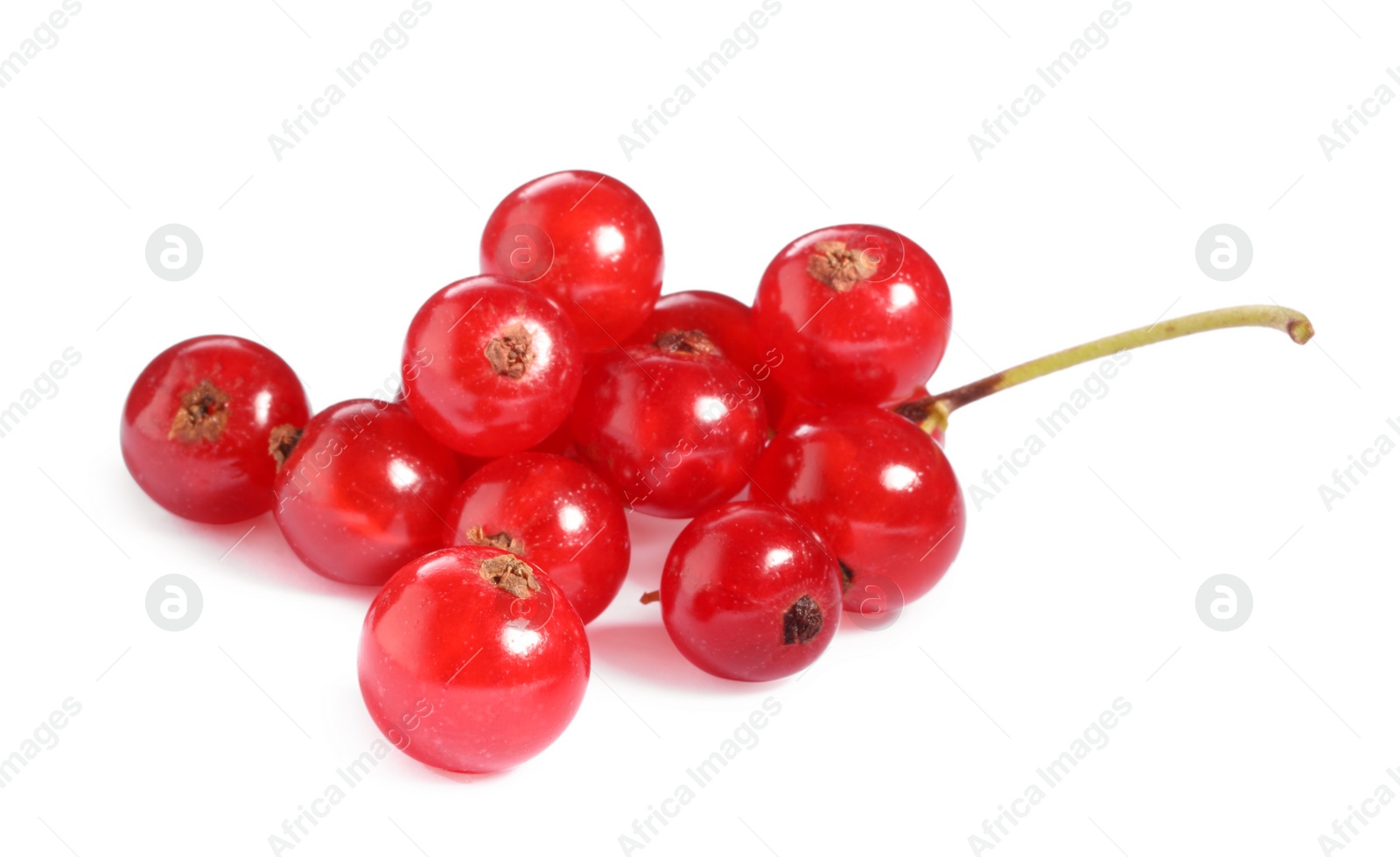 Photo of Many fresh ripe red currants isolated on white