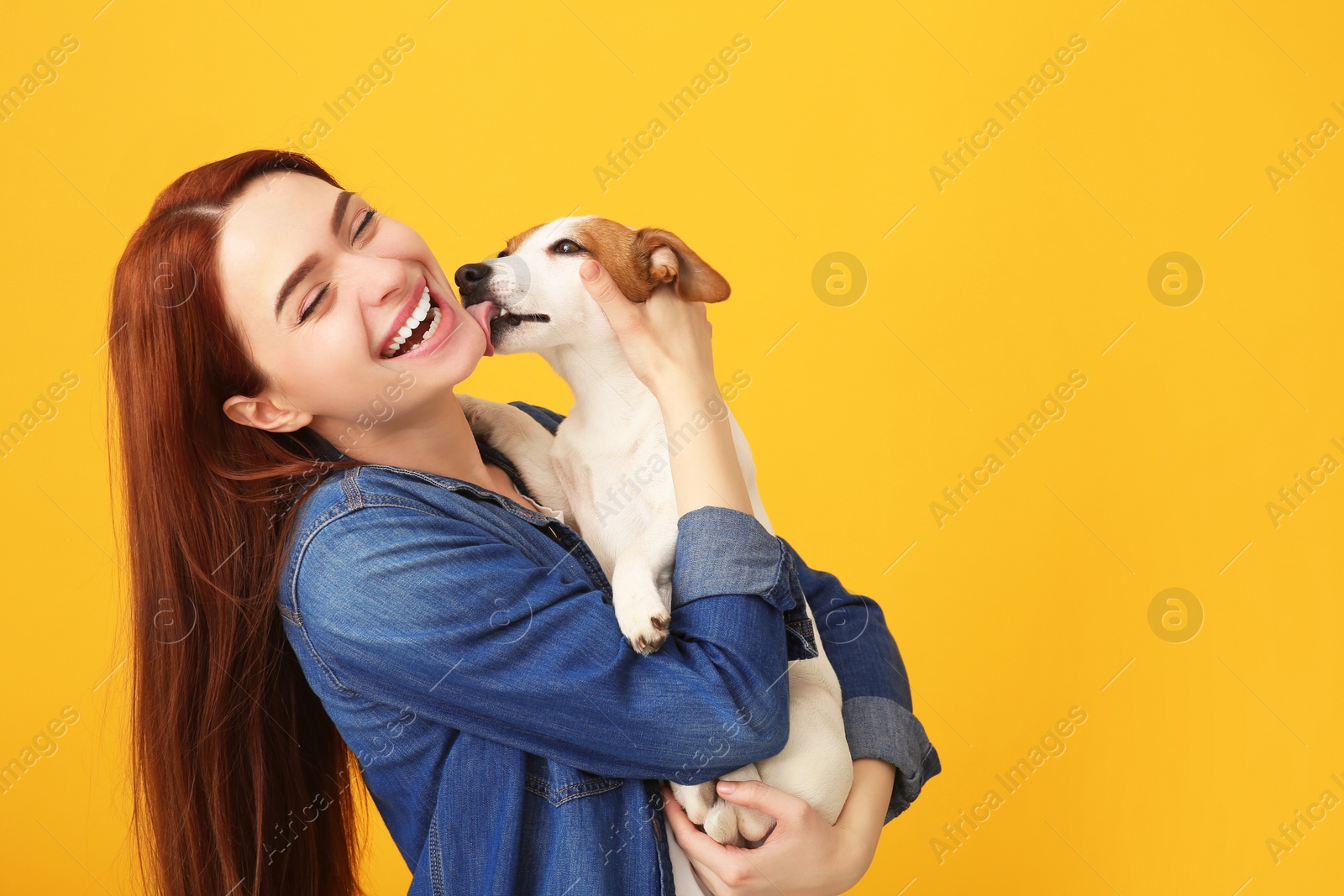 Photo of Happy woman with her cute Jack Russell Terrier dog on orange background. Space for text
