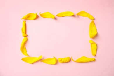 Photo of Frame made with sunflower petals on pink background, flat lay. Space for text
