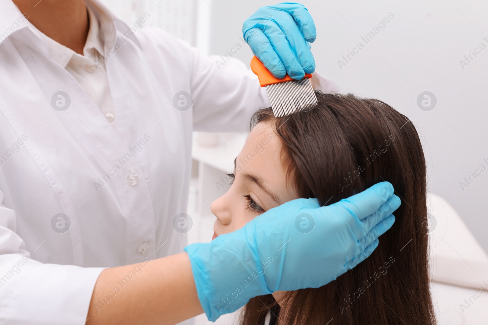 Photo of Doctor using nit comb on little girl's hair indoors. Anti lice treatment