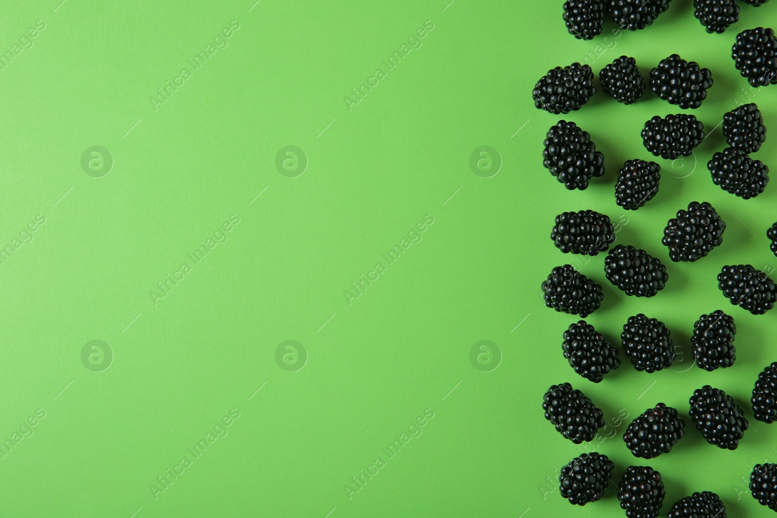 Photo of Tasty ripe blackberries on green background, flat lay. Space for text