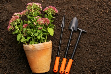 Photo of Gardening tools and flowers on fresh soil, flat lay