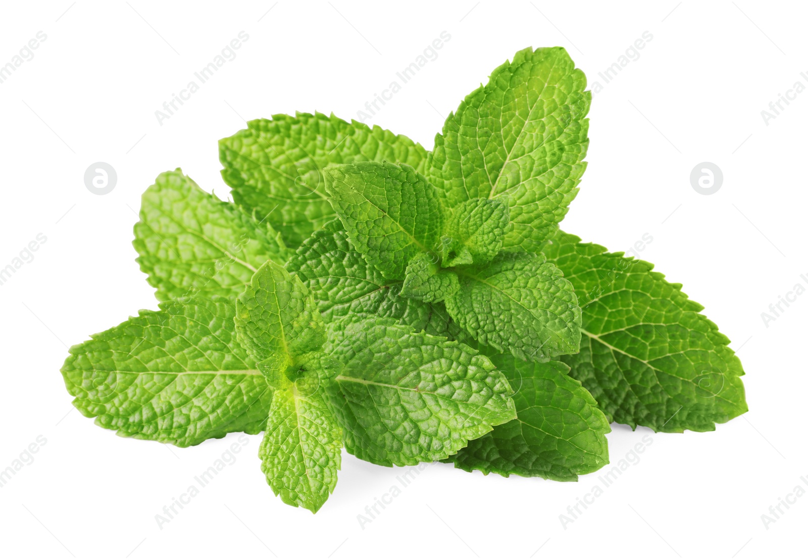 Photo of Fresh green mint leaves isolated on white