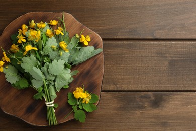 Celandine with beautiful yellow flowers on wooden table, top view. Space for text