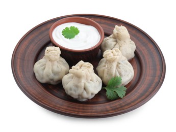 Tasty khinkali (dumplings) with sauce and spices isolated on white. Georgian cuisine