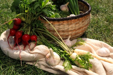 Photo of Different tasty vegetables and herbs on green grass outdoors