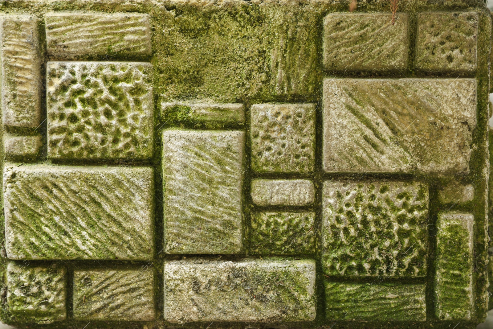 Photo of Brick wall with green moss as background, closeup