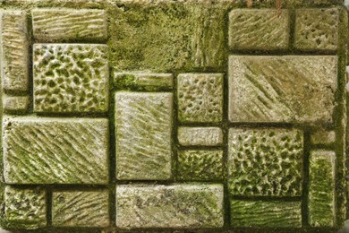 Brick wall with green moss as background, closeup