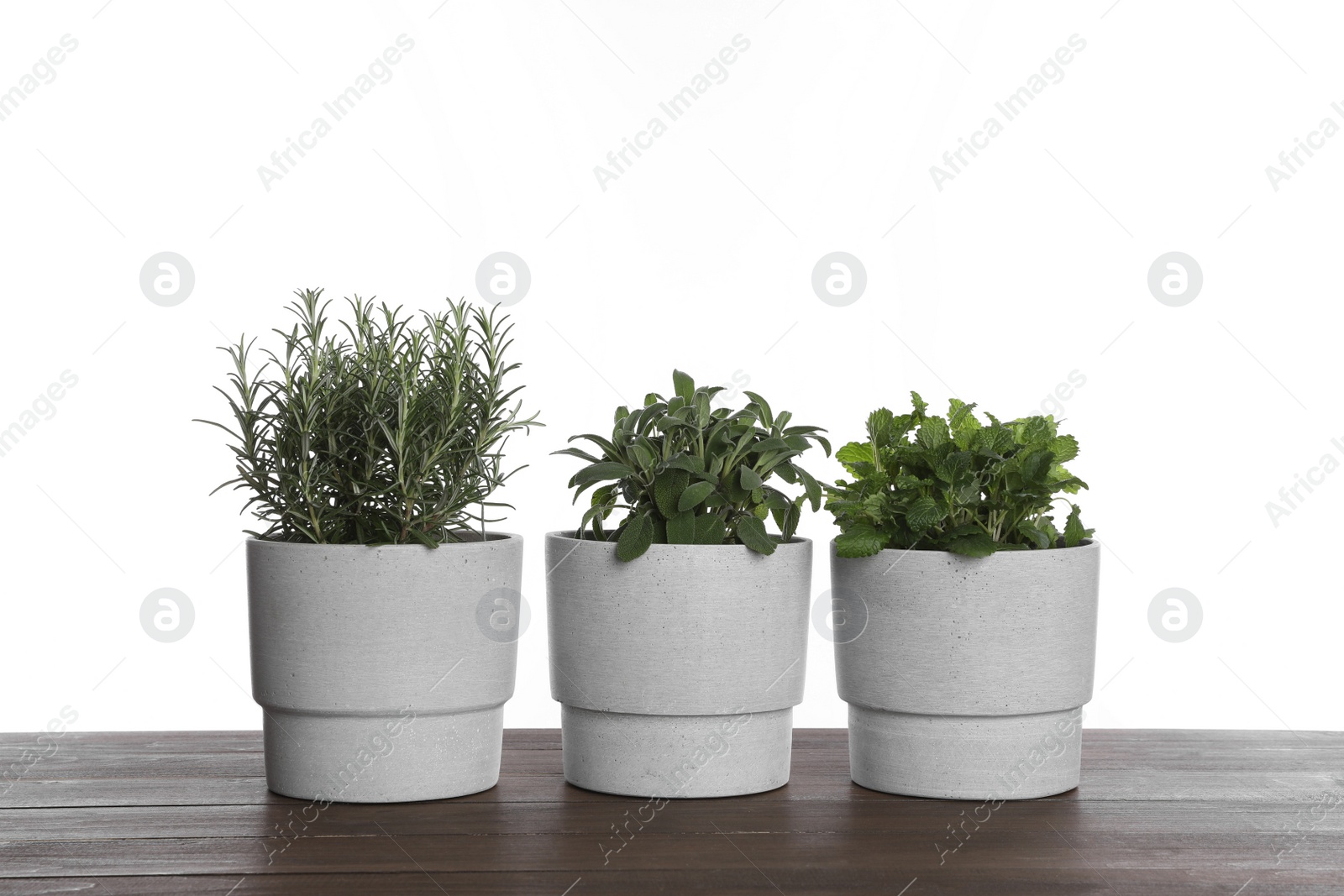 Photo of Pots with sage, mint and rosemary on wooden table against white background