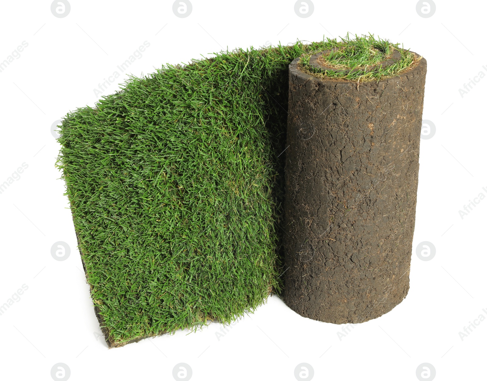 Photo of Rolled sod with grass on white background