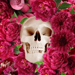 Image of White skull among beautiful flowers, top view