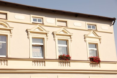 Windows of beautiful building decorated with blooming flowers outdoors